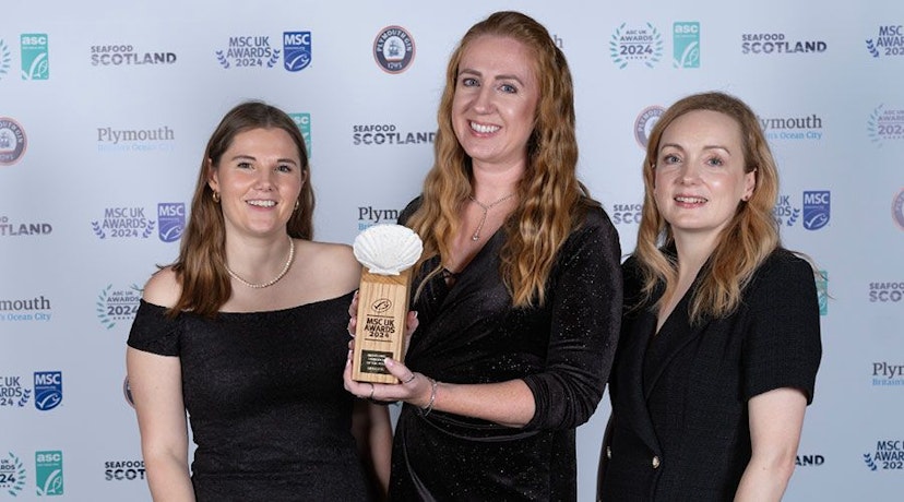 Birds Eye and Iceland net MSC UK Marketing Campaign of the Year award with Lidl catching MSC UK Marketing Champion of the Year at prestigious sustainability awards 