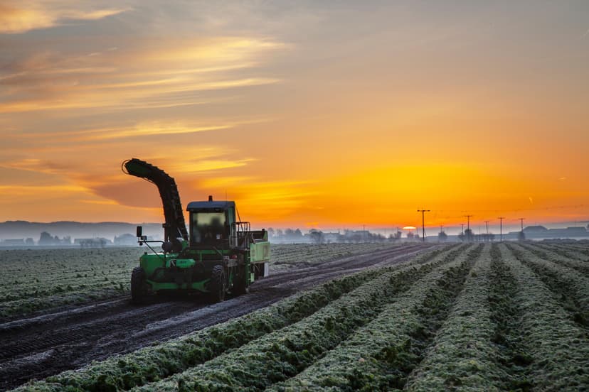 Weather and global events continue to impact fresh produce