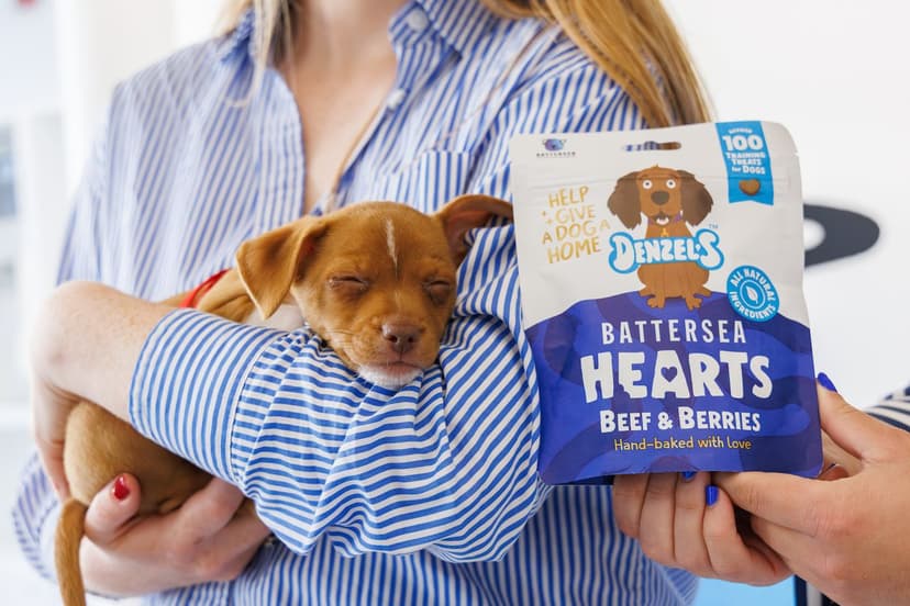 Denzel’s chooses Prolog Fulfilment as UK delivery partner