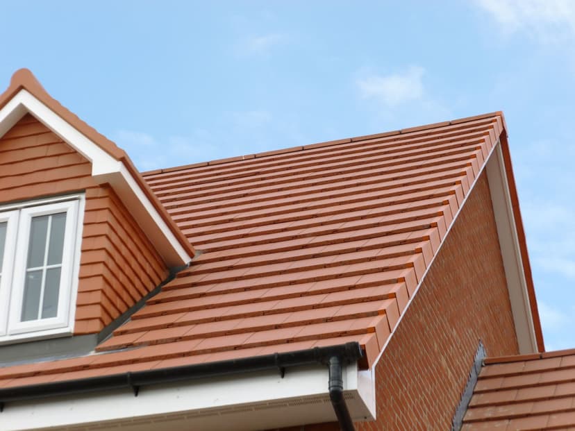 Weathering the storm of climate change