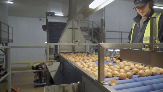 Knowing their onions