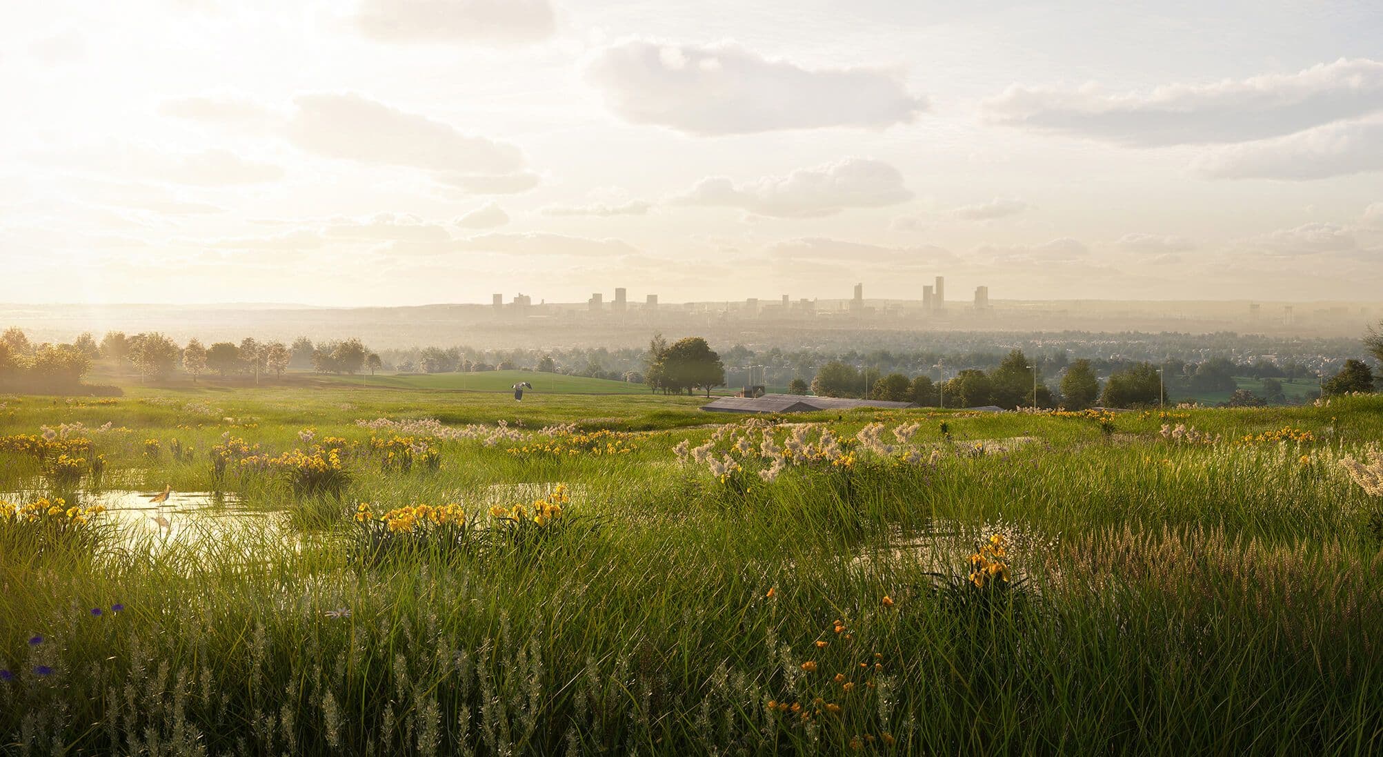Environment Bank to offer biodiversity net gain services to Barclays business customers