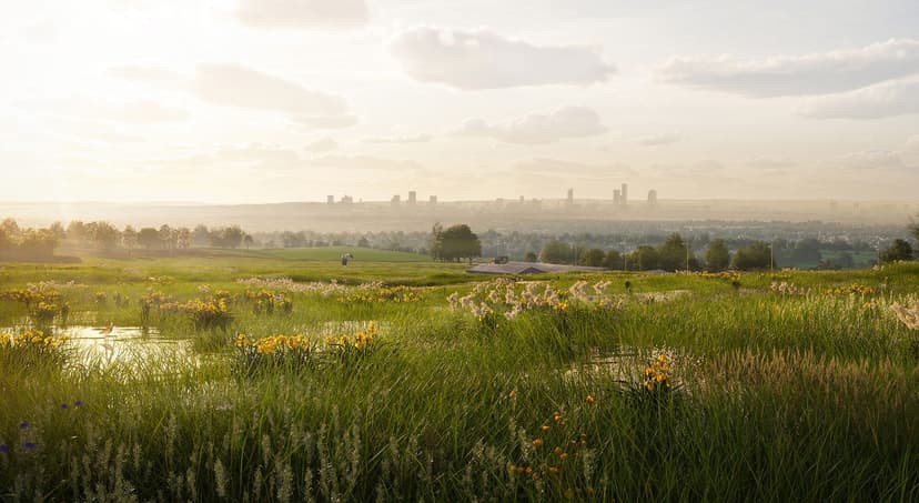 Environment Bank to offer biodiversity net gain services to Barclays business customers
