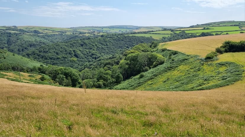 North Devon National Trust launches boatbuilders’ woodland